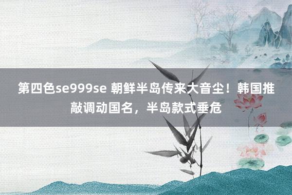 第四色se999se 朝鲜半岛传来大音尘！韩国推敲调动国名，半岛款式垂危