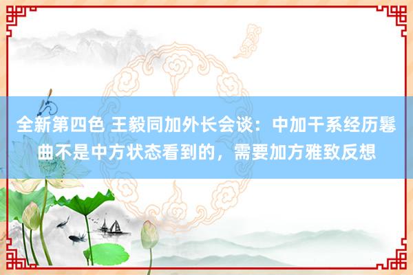 全新第四色 王毅同加外长会谈：中加干系经历鬈曲不是中方状态看到的，需要加方雅致反想