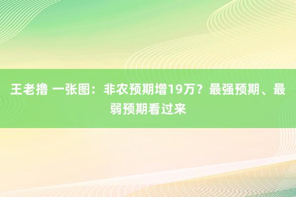 王老撸 一张图：非农预期增19万？最强预期、最弱预期看过来