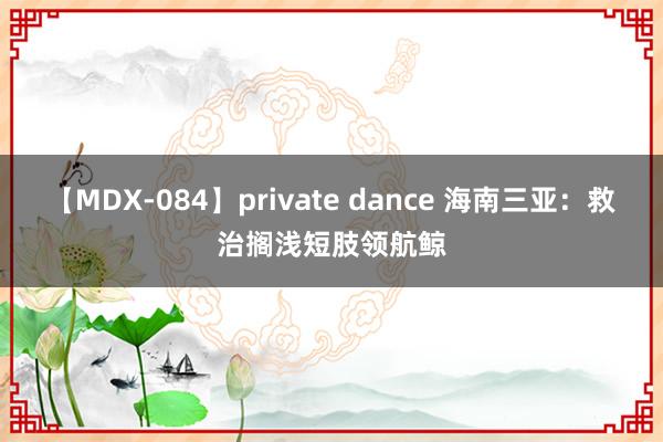 【MDX-084】private dance 海南三亚：救治搁浅短肢领航鲸