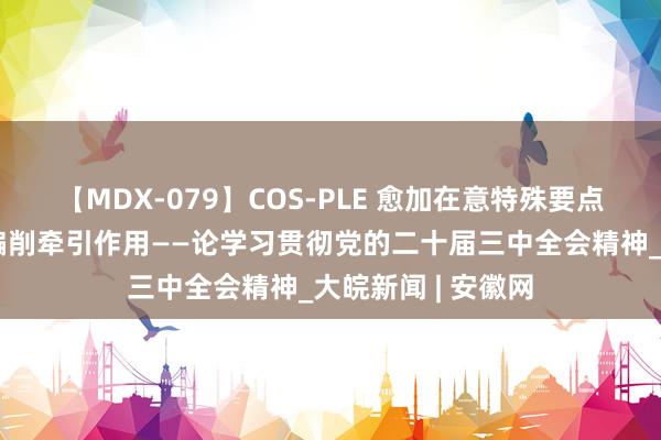 【MDX-079】COS-PLE 愈加在意特殊要点，发扬经济体制编削牵引作用——论学习贯彻党的二十届三中全会精神_大皖新闻 | 安徽网