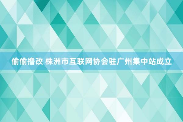 偷偷撸改 株洲市互联网协会驻广州集中站成立