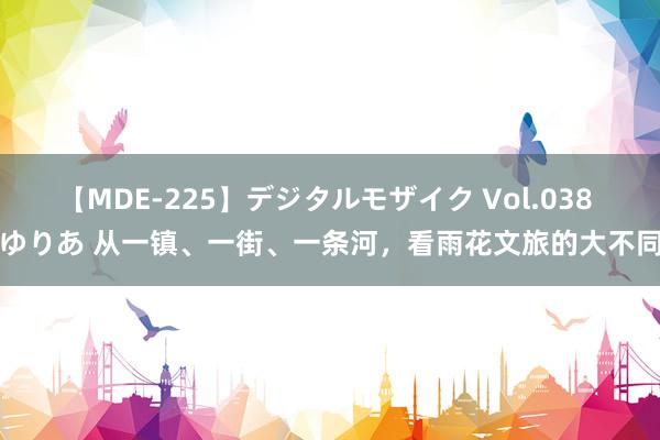 【MDE-225】デジタルモザイク Vol.038 ゆりあ 从一镇、一街、一条河，看雨花文旅的大不同