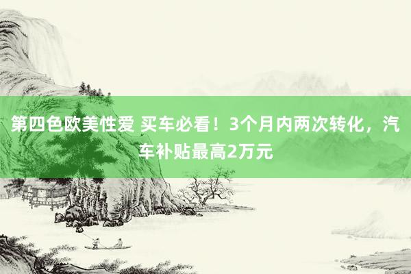 第四色欧美性爱 买车必看！3个月内两次转化，汽车补贴最高2万元