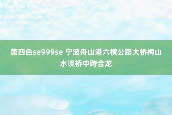 第四色se999se 宁波舟山港六横公路大桥梅山水谈桥中跨合龙