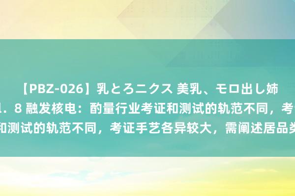 【PBZ-026】乳とろニクス 美乳、モロ出し姉ちゃん揉みたおし。 Vol．8 融发核电：酌量行业考证和测试的轨范不同，考证手艺各异较大，需阐述居品类型伸开
