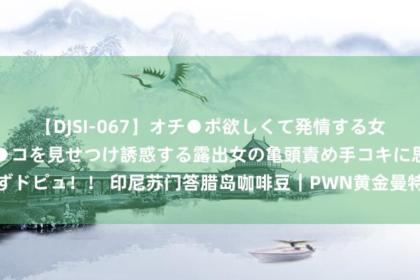 【DJSI-067】オチ●ポ欲しくて発情する女たち ところ構わずオマ●コを見せつけ誘惑する露出女の亀頭責め手コキに思わずドピュ！！ 印尼苏门答腊岛咖啡豆｜PWN黄金曼特宁是什么层次的咖啡豆及仪态