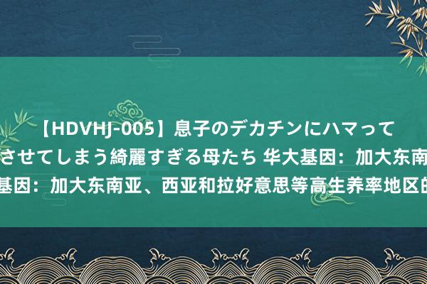 【HDVHJ-005】息子のデカチンにハマってしまい毎日のように挿入させてしまう綺麗すぎる母たち 华大基因：加大东南亚、西亚和拉好意思等高生养率地区的阛阓布局