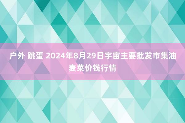 户外 跳蛋 2024年8月29日宇宙主要批发市集油麦菜价钱行情