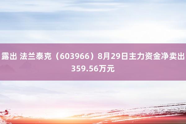 露出 法兰泰克（603966）8月29日主力资金净卖出359.56万元