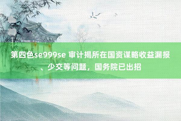 第四色se999se 审计揭所在国资谋略收益漏报、少交等问题，国务院已出招