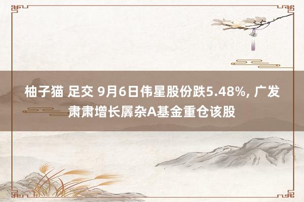 柚子猫 足交 9月6日伟星股份跌5.48%, 广发肃肃增长羼杂A基金重仓该股