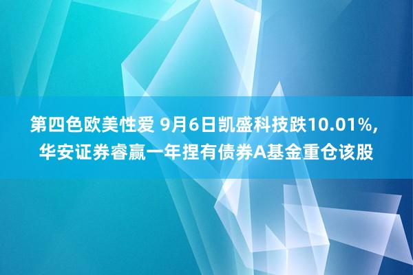 第四色欧美性爱 9月6日凯盛科技跌10.01%， 华安证券睿赢一年捏有债券A基金重仓该股