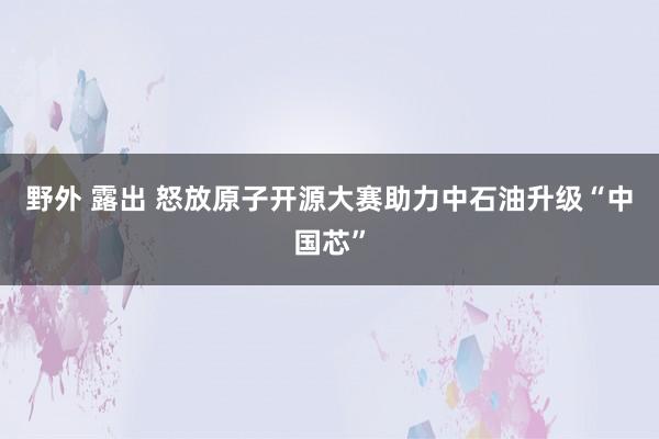 野外 露出 怒放原子开源大赛助力中石油升级“中国芯”