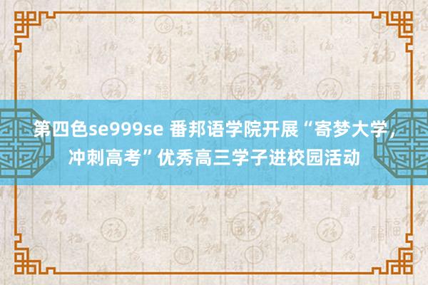 第四色se999se 番邦语学院开展“寄梦大学，冲刺高考”优秀高三学子进校园活动