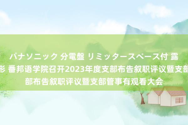 パナソニック 分電盤 リミッタースペース付 露出・半埋込両用形 番邦语学院召开2023年度支部布告叙职评议暨支部管事有观看大会