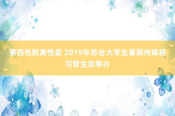 第四色欧美性爱 2019年苏台大学生暑期传媒研习营生效举办