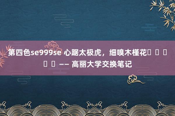 第四色se999se 心踞太极虎，细嗅木槿花​​​​​—— 高丽大学交换笔记