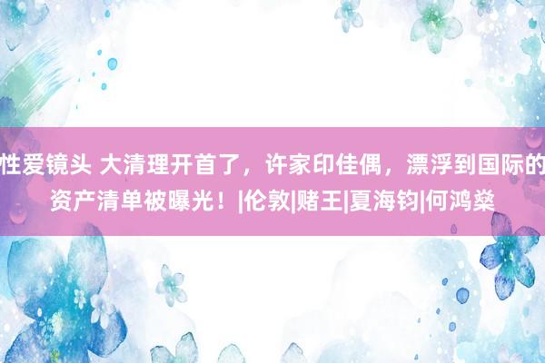 性爱镜头 大清理开首了，许家印佳偶，漂浮到国际的资产清单被曝光！|伦敦|赌王|夏海钧|何鸿燊