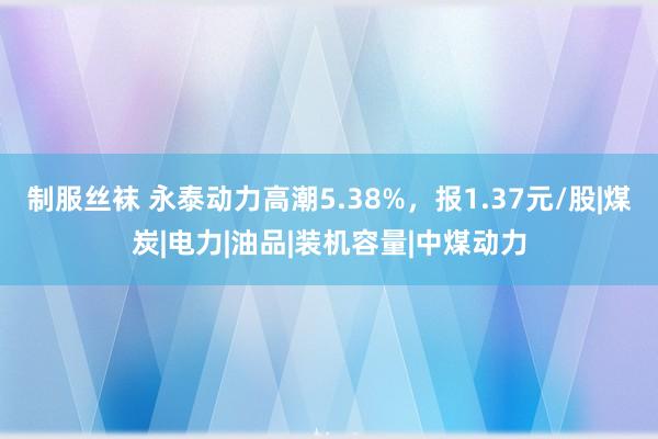 制服丝袜 永泰动力高潮5.38%，报1.37元/股|煤炭|电力|油品|装机容量|中煤动力