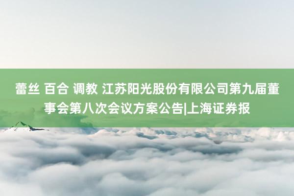 蕾丝 百合 调教 江苏阳光股份有限公司第九届董事会第八次会议方案公告|上海证券报