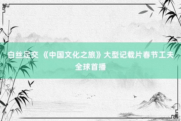 白丝足交 《中国文化之旅》大型记载片春节工夫全球首播