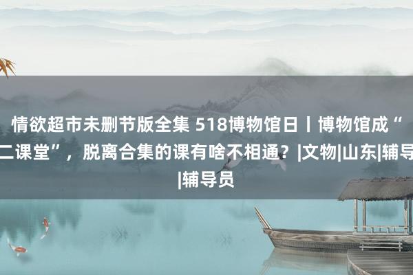 情欲超市未删节版全集 518博物馆日丨博物馆成“第二课堂”，脱离合集的课有啥不相通？|文物|山东|辅导员