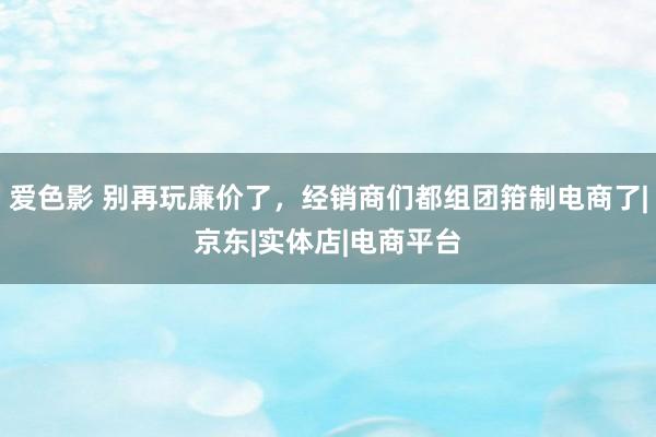 爱色影 别再玩廉价了，经销商们都组团箝制电商了|京东|实体店|电商平台